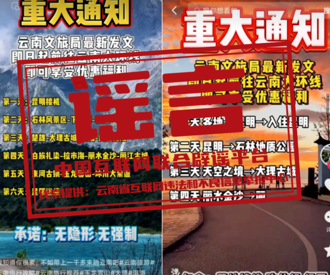市场动态与趋势分析