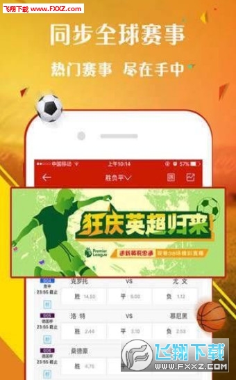 探究数字背后的故事，王中王平特一肖C与数字224558的神秘联系，揭秘数字背后的故事，王中王平特一肖C与神秘数字224558的联系