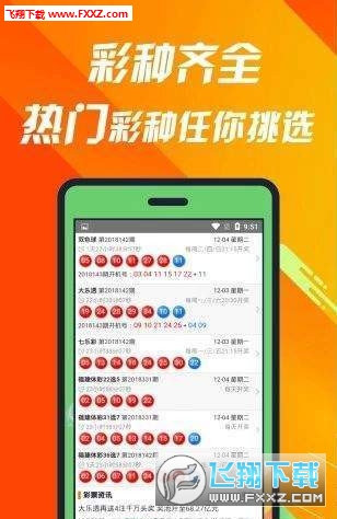 数字背后的故事探索