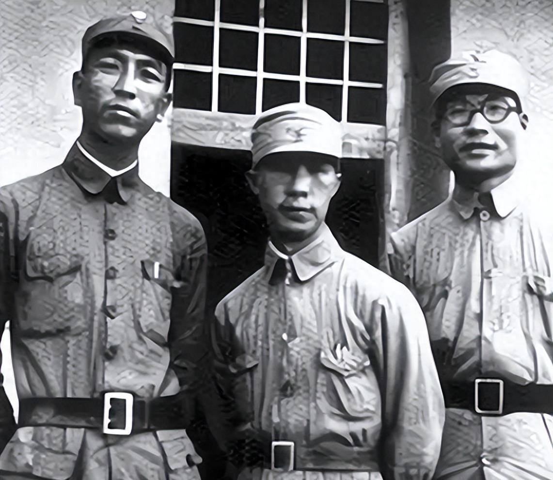 海南岛战役，谁率先发起战略进攻？，海南岛战役，率先发起战略进攻的揭秘