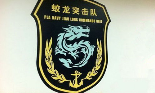 蛟龙突击队体能服，科技、功能与荣耀的象征，蛟龙突击队体能服，科技、功能与荣耀的战士标志
