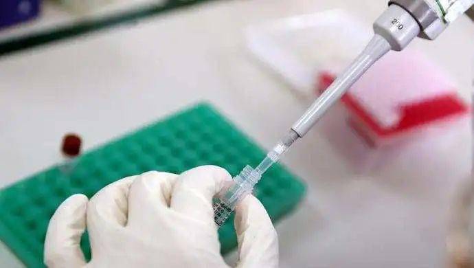 最新消息新冠疫情动态分析，新冠疫情动态分析最新消息