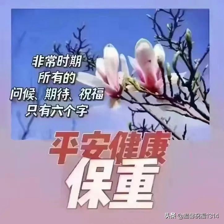 多多，生活中的无尽魅力与力量，多多，生活中的魅力与力量之源