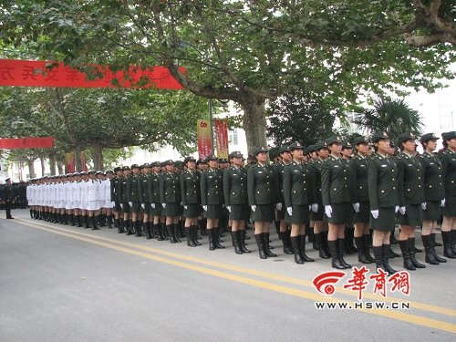 三军女兵方队惊艳，展现新时代巾帼英雄风采，新时代巾帼英雄，三军女兵方队展现风采