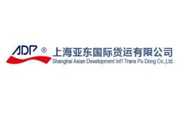 亚东公司，从创业起步到行业领袖的崛起之路，亚东公司，从创业起步到行业领袖的辉煌崛起之路