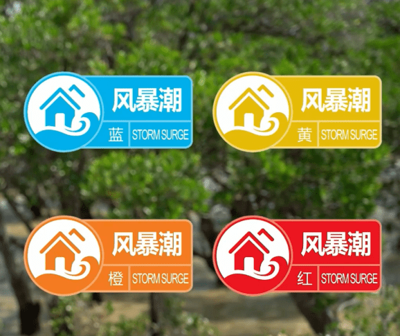 中国局势最新消息，今日新闻视频播放大全，中国局势最新消息概览，今日新闻视频播放汇总