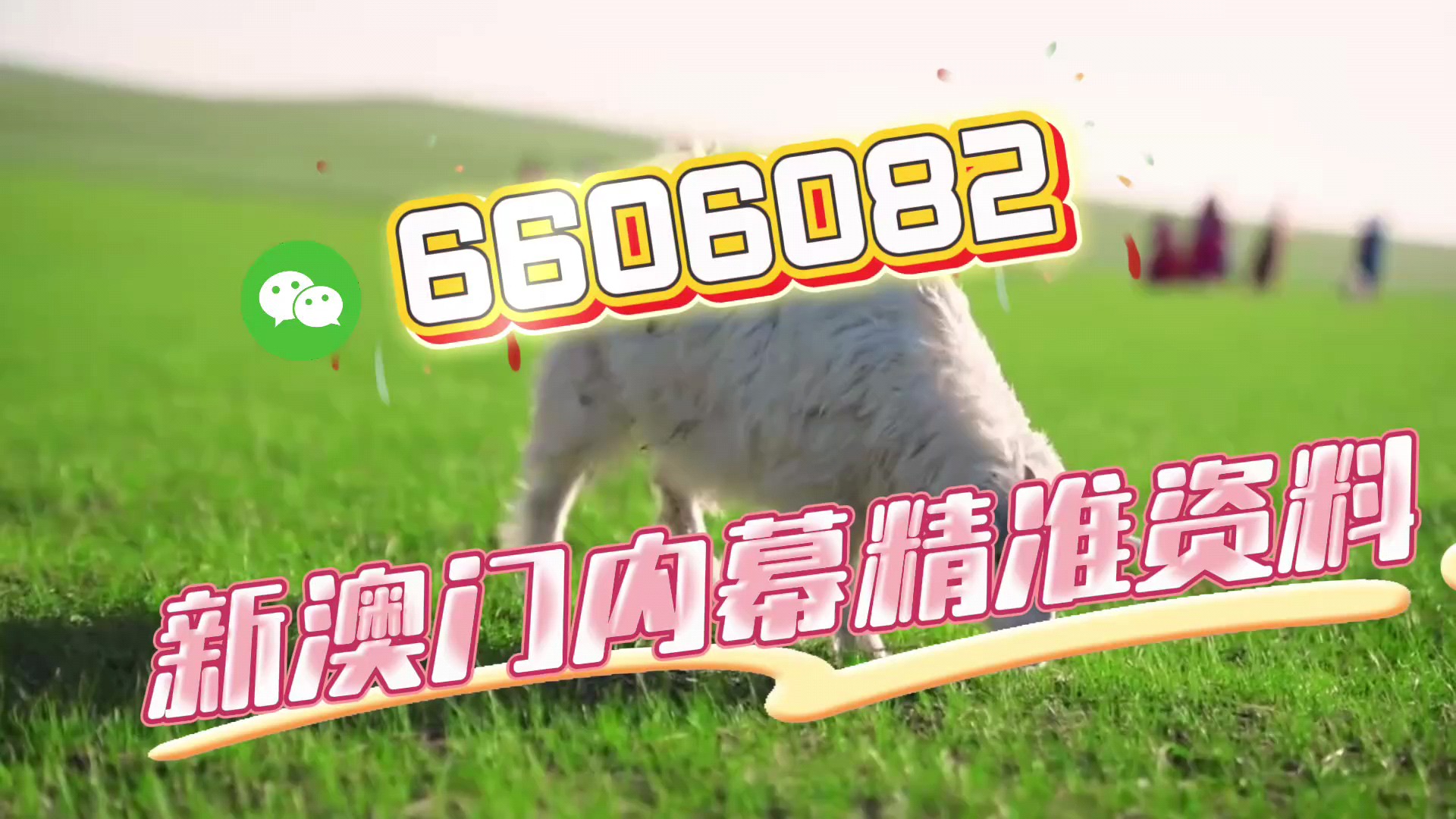 澳门一肖一码一必中一肖同舟前进