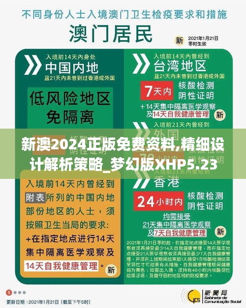 新澳2025正版免费资料，探索与启示，新澳2025正版免费资料，探索之旅与启示