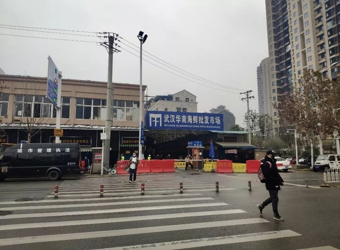 华南海鲜市场女老板，坚韧与智慧的化身，华南海鲜市场女老板的坚韧与智慧，逆境中的力量典范