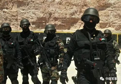 战略支援部队与特种部队，探索与解析，战略支援部队与特种部队，深度探索与解析
