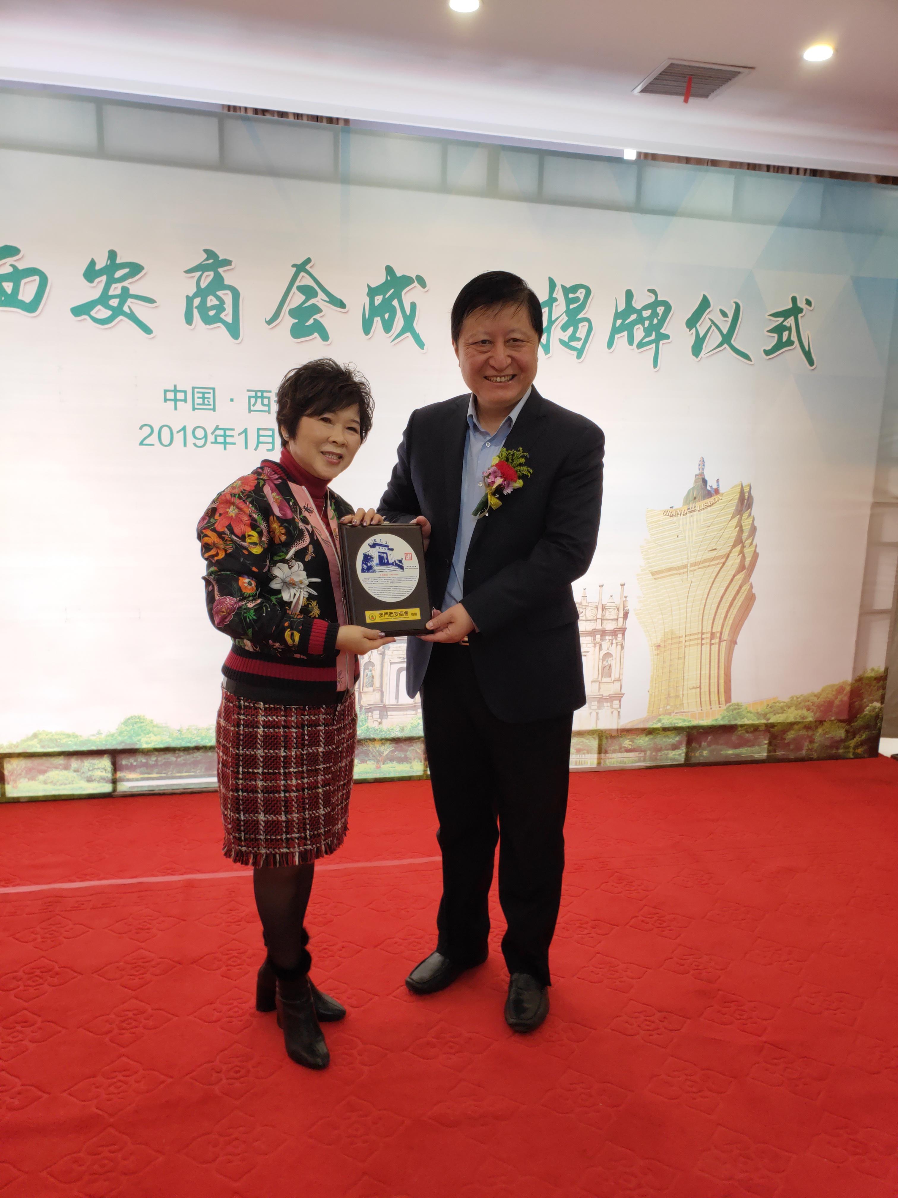澳门一肖中100%期期准揭秘，探索背后的秘密与真相，澳门一肖中100%期期精准揭秘，探索背后的秘密真相