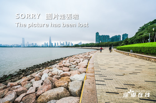 反萨德，捍卫地区和平与安全的必要举措，反萨德，维护地区和平与安全的坚定行动