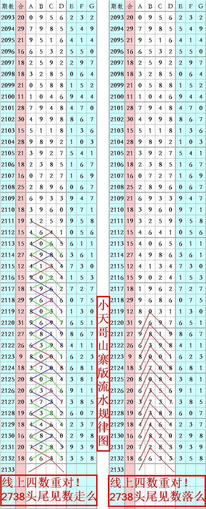 王中王三字平特一肖，探寻背后的神秘与魅力，王中王三字平特一肖，神秘魅力背后的探寻