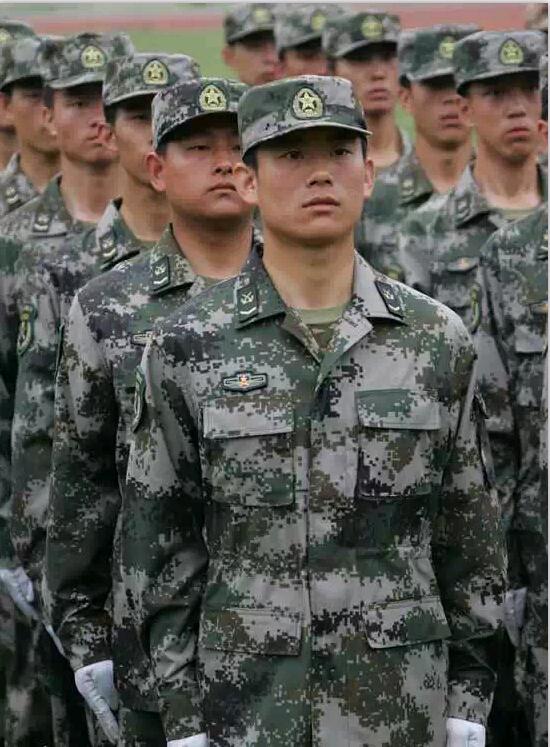 探索07式林地迷彩服，图片与功能性的完美结合，揭秘07式林地迷彩服，图片展示与实用功能完美结合