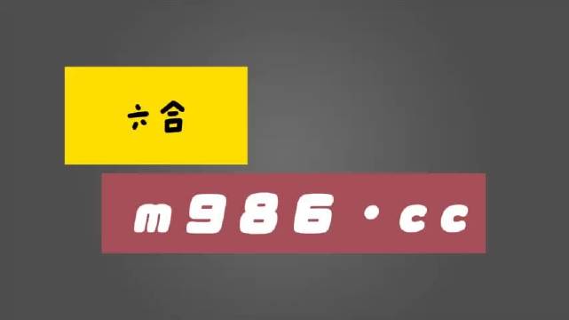 一肖中特免费公开资料中的奥秘与探索，一肖中特免费公开资料奥秘探索揭秘