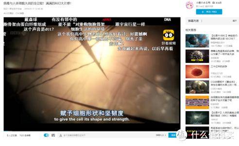 B站必看的纪录片精选，探寻世界的深度与广度（共三千部），B站纪录片精选，探寻世界的深度与广度（三千部必看好片）
