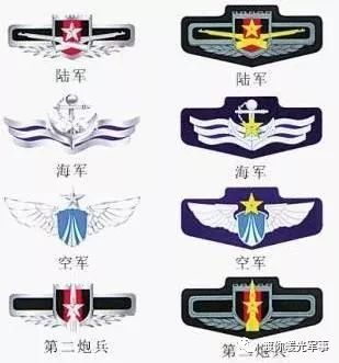 解放军胸标看军衔，军衔标识与军队荣誉的象征，解放军胸标，军衔与荣誉的象征解读