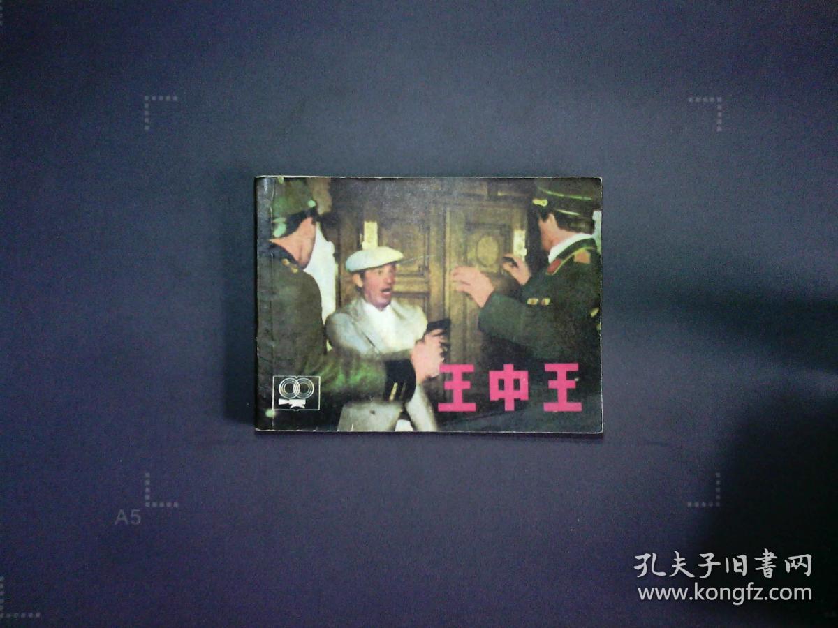 王中王平特一肖王妃正版——探寻真实与传奇之间的故事，探寻真实与传奇，王中王平特一肖王妃正版故事揭秘