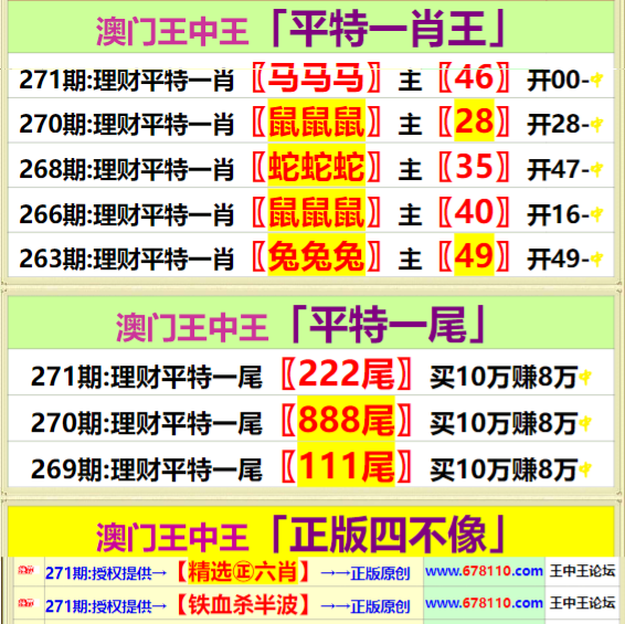 王中王資料一肖中特，探索与解析，王中王資料一肖中特，深度探索与解析