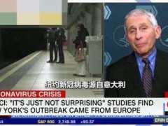 今日国际新闻大众网，全球动态一网打尽，全球动态一网打尽，今日国际新闻大众网综述