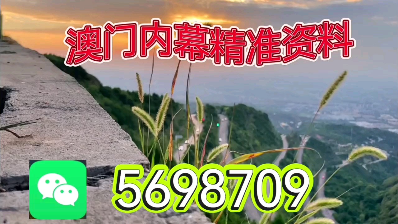 新澳天天开彩资料大全，探索彩票世界的奥秘，探索彩票世界奥秘，新澳天天开彩资料大全