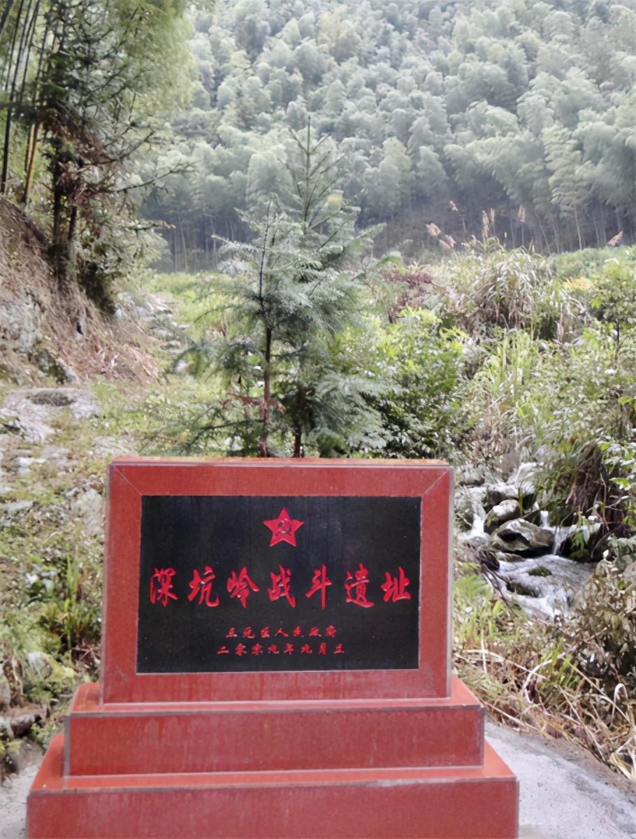 电影血战深坑岭，战争与人性的深度剖析，电影血战深坑岭，战争与人性之深度探索与剖析