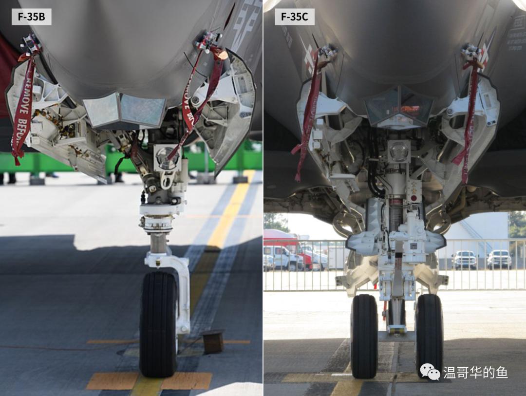歼15与F-35，空中巨人的对比与前瞻，歼15与F-35，空中巨人对比及前瞻分析