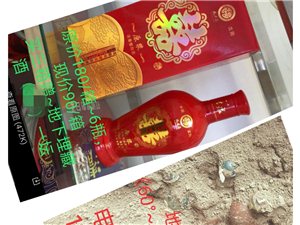 王中王一肖论一坛，深度探讨与独特见解，王中王一肖论坛深度剖析，独特见解与探讨