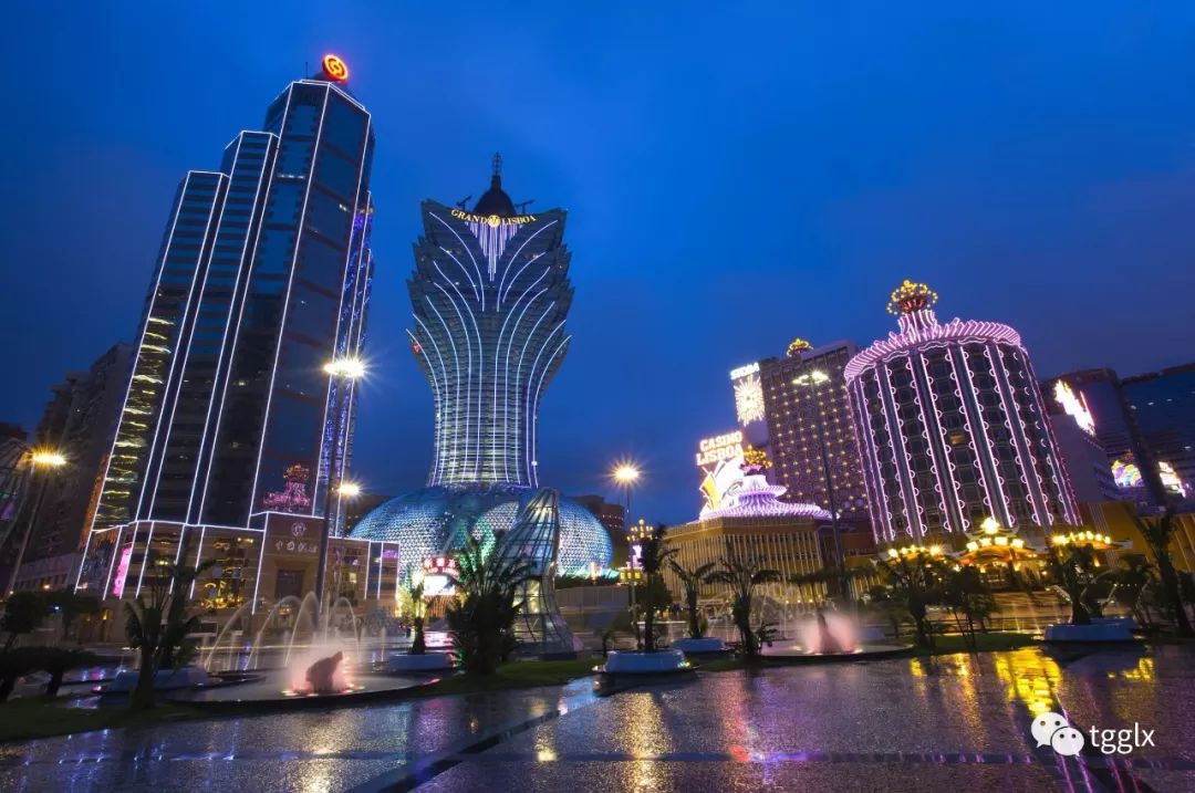 探索未来的澳门与厦门，免费旅游的新篇章（2025视角），未来澳门与厦门之旅，开启免费旅游新篇章（2025年展望）