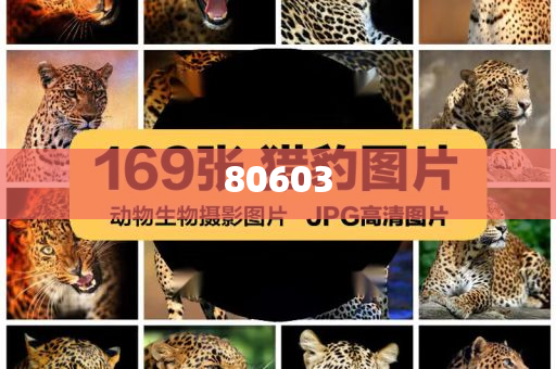 迈向2025，新澳天天开好好的时代，迈向2025，新澳的美好时代开启