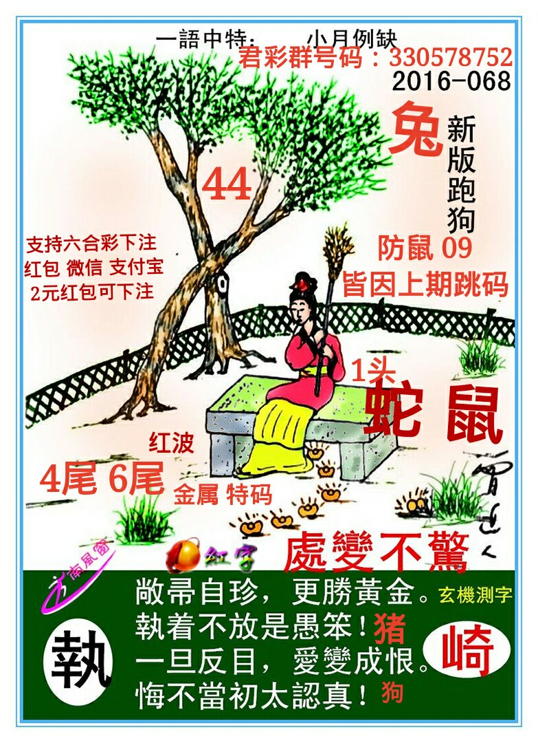 探索新版跑狗，77777与88888的魅力之旅，新版跑狗探索之旅，77777与88888的魅力揭秘