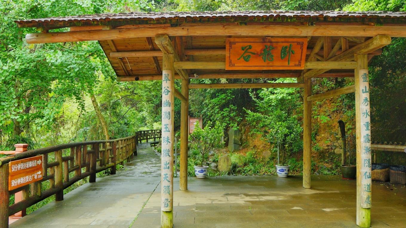 管家婆老家丫的传奇故事，数字背后的温情与坚韧，管家婆与丫头的传奇故事，数字背后的温情与坚韧人生