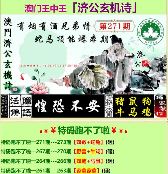 探索神秘数字与特区天顺的交融——王中王中王传奇，王中王传奇，神秘数字与特区天顺的交融探索