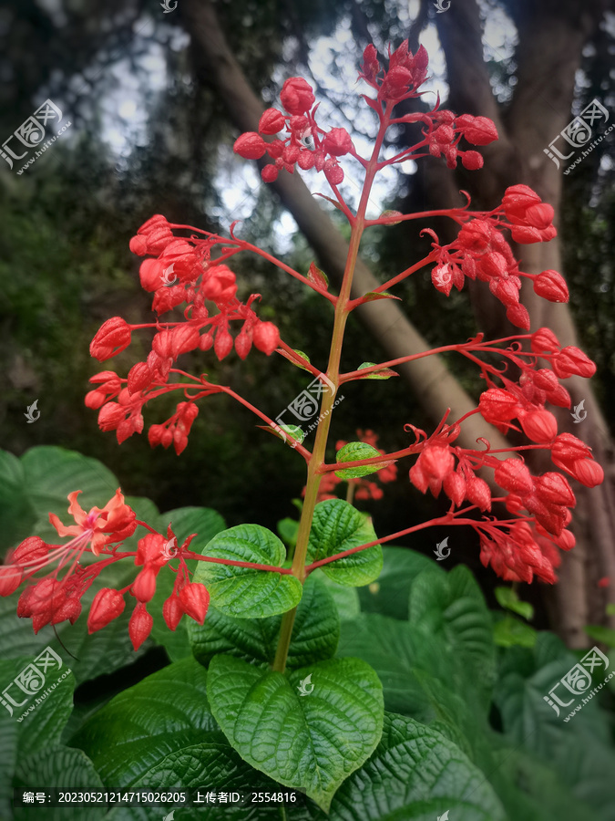 香港 第7页