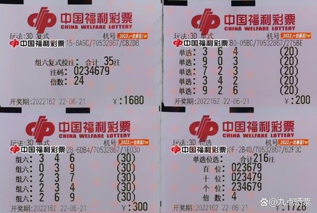 王中王162期指一生肖——探寻背后的文化深意，王中王162期指一生肖，背后的文化探索
