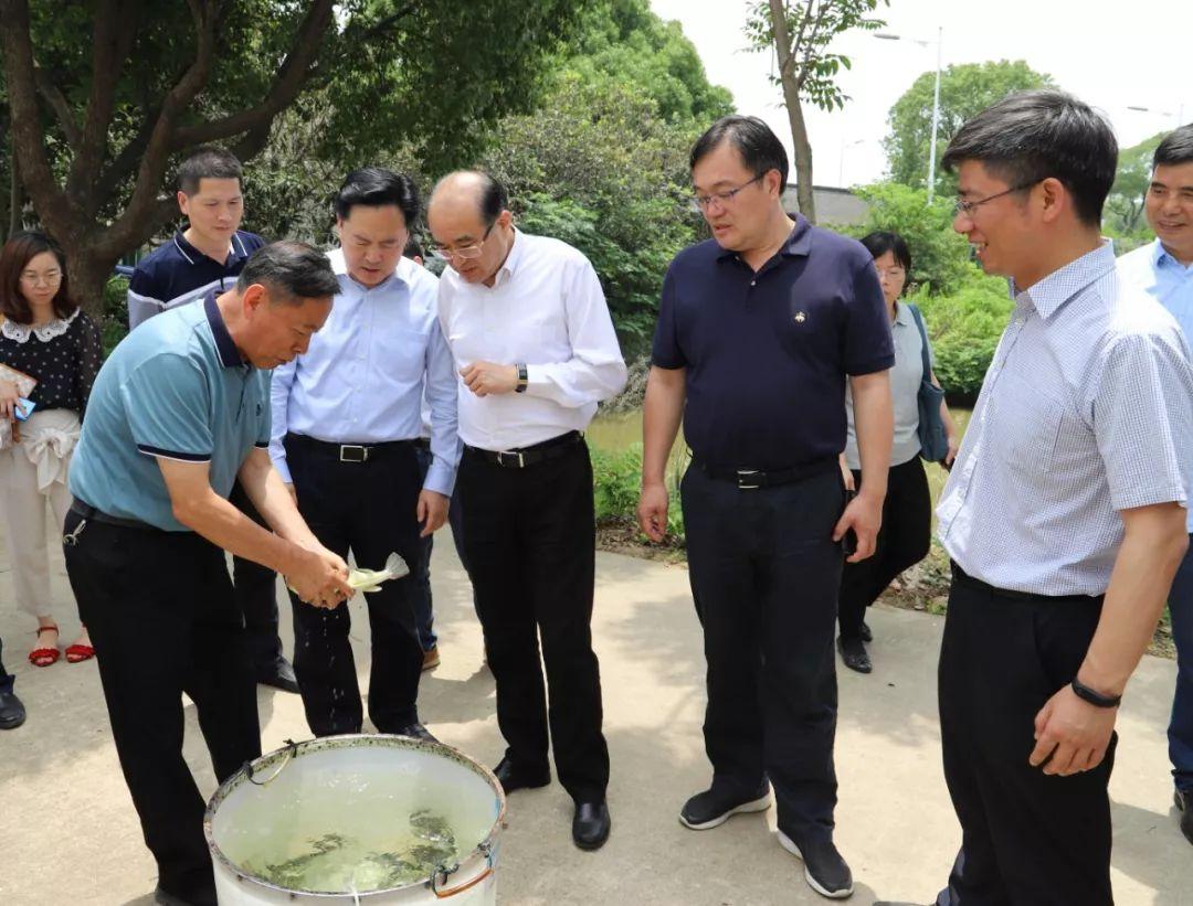 今日头条重要新闻，国际新闻一览，今日头条国际新闻概览，最新重大事件一览无余