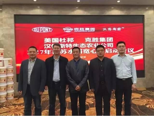 集团菌是什么，集团菌，概念解析与特性探讨