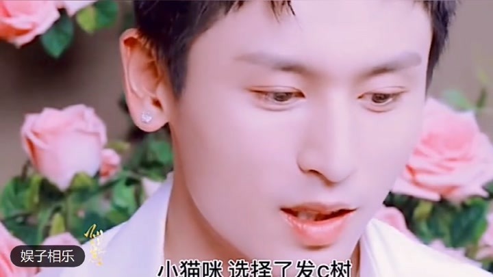 澳门正版资料大全与生肖卡的独特魅力，澳门正版资料大全与生肖卡的独特魅力揭秘
