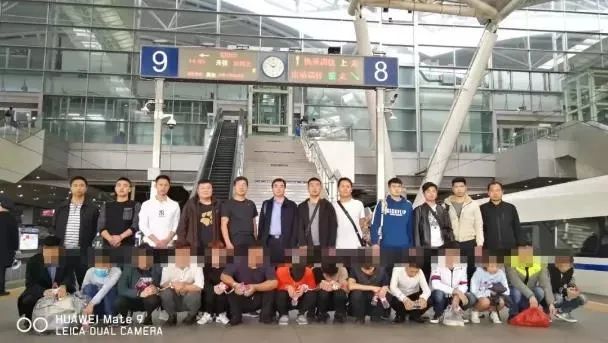 鹿邑今天重大新闻，城市新动向与发展里程碑，鹿邑今日要闻，城市新动向与发展里程碑