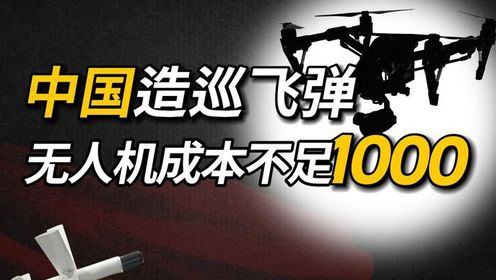 中国无人机的价格及其影响因素，究竟一台多少钱？，中国无人机的价格揭秘，影响因素及具体费用探讨
