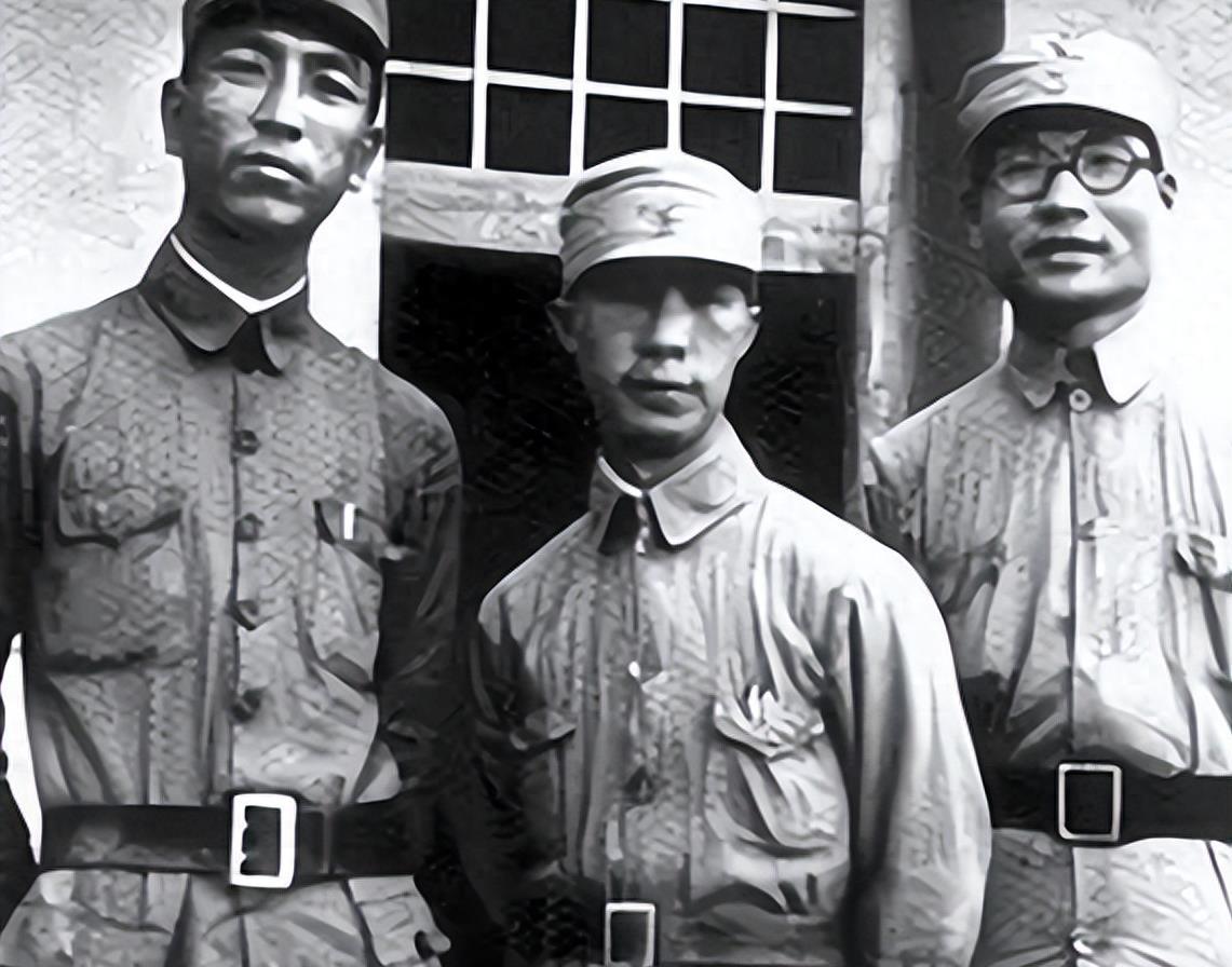 海南岛战役研究，历史回顾与深度解析，海南岛战役研究，历史回顾与深度解析