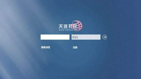 天涯论坛文学，网络文学的新疆界，天涯论坛文学，网络文学的新疆界探索