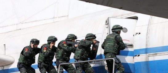 蛟龙与海豹，海洋中的生死较量——伤亡多少？，海洋霸主对决，蛟龙与海豹的生死较量及伤亡揭秘