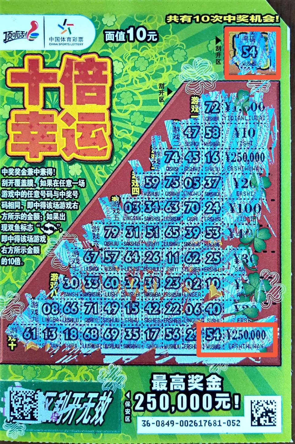 平特一肖买100中多少——彩票投注的奥秘与期待，彩票投注的奥秘，平特一肖买100中奖揭秘