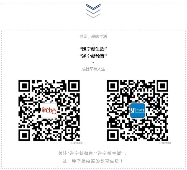 王中王遂宁平台一肖中特，探索与解析，王中王遂宁平台一肖中特，深度探索与解析