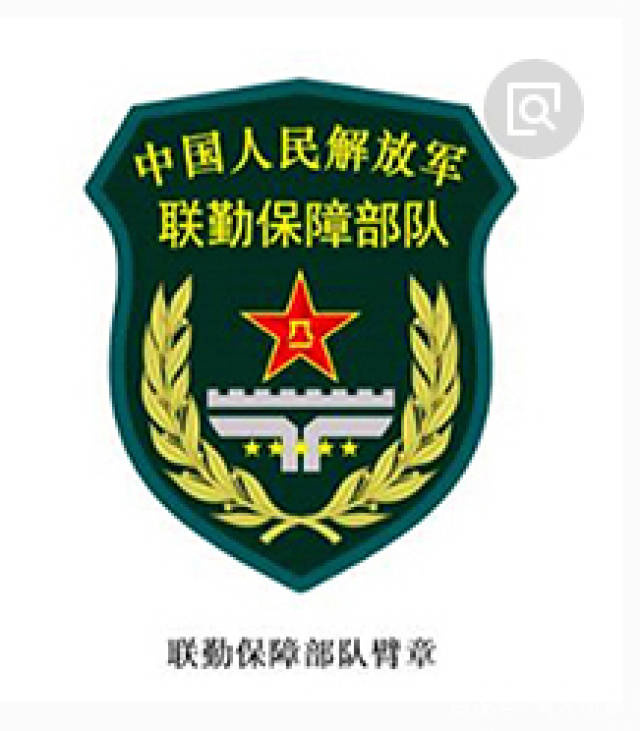武警部队新式臂章，展现新时代军威与荣耀，武警部队新式臂章展现新时代军威与荣耀风采