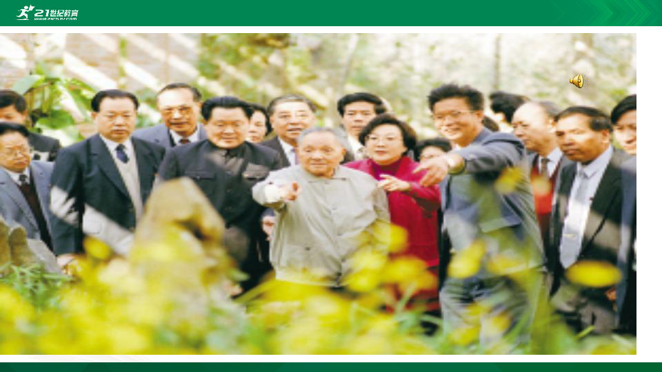 我亲爱的祖国演员表及其角色解读，我亲爱的祖国演员阵容及角色深度解读