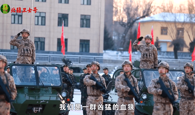 关于我国某部队转型为特战旅的探讨，我国某部队转型特战旅的探讨与解析