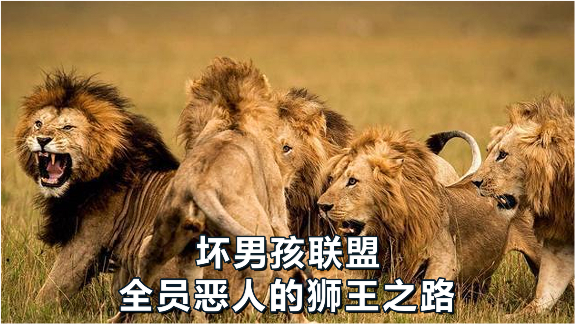 四不像必中一肖王中王，神秘与传奇的交融，神秘与传奇交融，四不像必中一肖王中王
