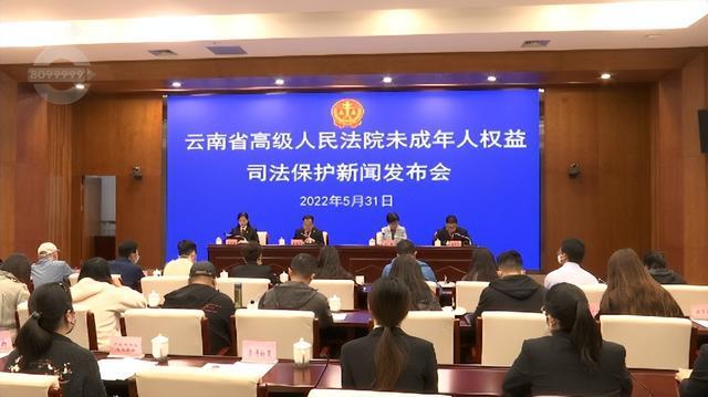 新闻发布典型案例的意义，揭示价值，促进交流与进步，新闻发布典型案例深度解析，揭示意义、价值，推动交流与进步